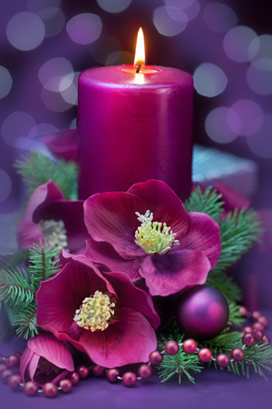 Mauve Christmas Candle C854