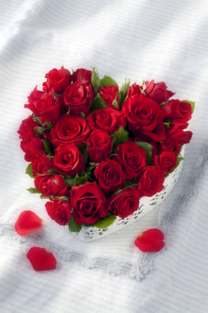 Red Rose Heart F760