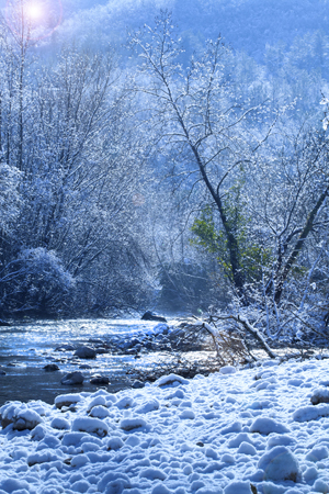 Winter Landscape C858