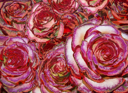 Red Rose Paintings