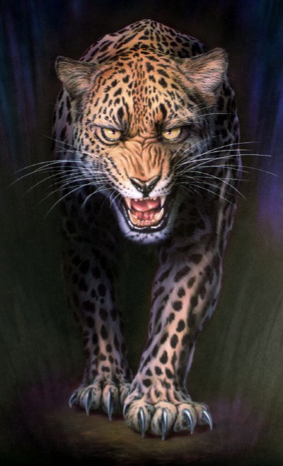 Prowling Leopard