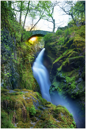 Aira Force