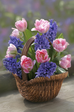 Basket of Hyacinths and Tulips EA157