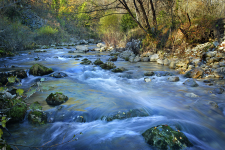 Cascade in the Alpes Maritimes LA127.jpg