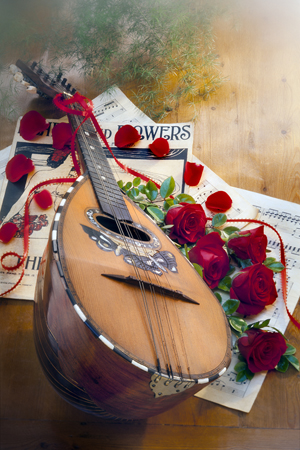 Mandolin & Roses F794