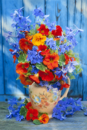 Nasturtiums & Delphiniums F117