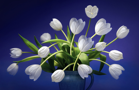 White Tulips F231