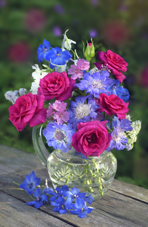 Roses & Scabias F327