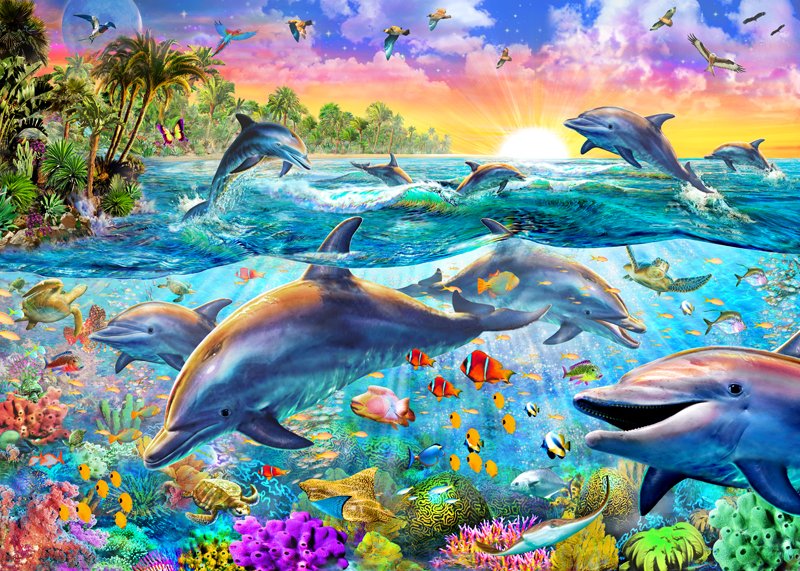 Tropical Dolphins