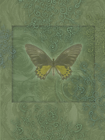 Butterfly Green