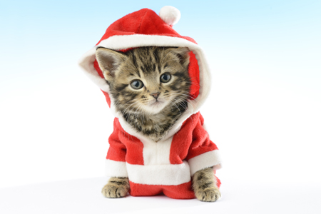 Santa Claws