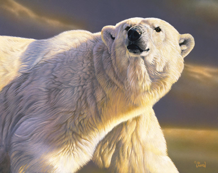 AA-204 – Ice Bear