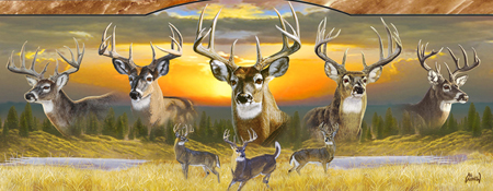 AA-334 – 10 Point Buck