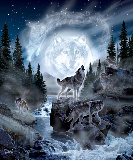 AA-916 – Moon Wolf