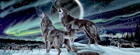 AA-947 – Wolves Moon