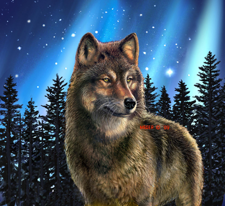 JM-165 – Wolf