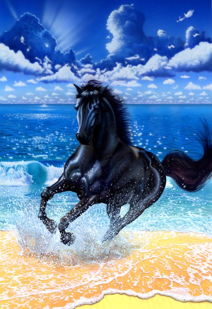 Black Stallion