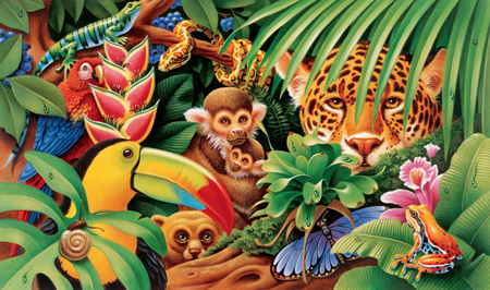 CG-812 – Jungle Animals