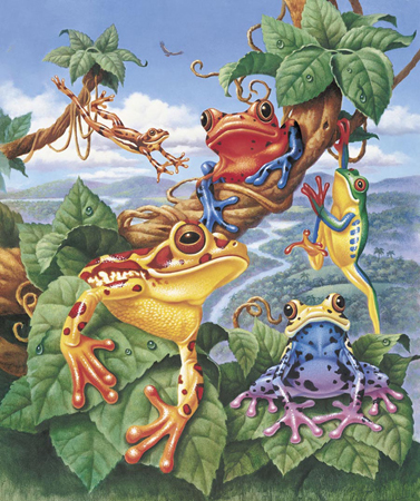 CG-817 – Tree Frogs