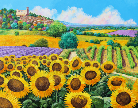 Vineyards and Sunflowers in Provence