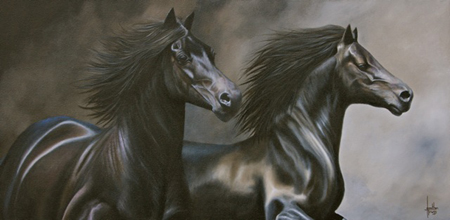 Black Horse Galloping