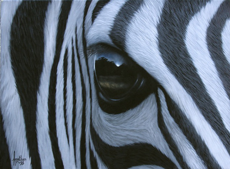 Zebra Eye