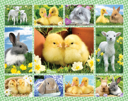 Easter Multipic 1