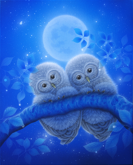 Owls Together