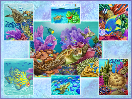 Multipic – Sealife