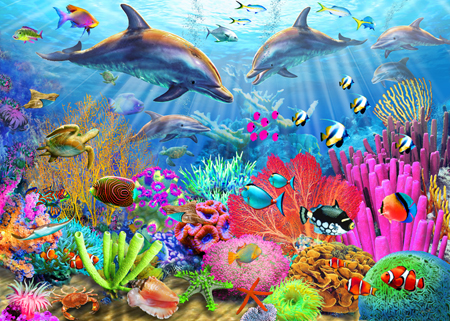 Dolphin Coral Reef