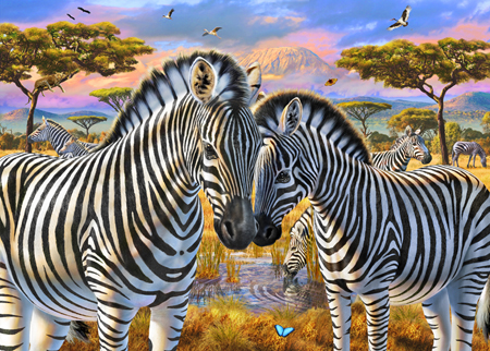 Loving Zebras