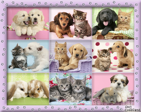 Best Friends Multipic