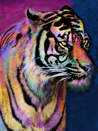 Rainbow Tiger