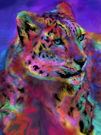 Rainbow Leopard