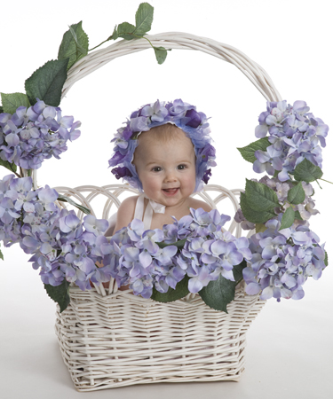 Baby Flowers 3