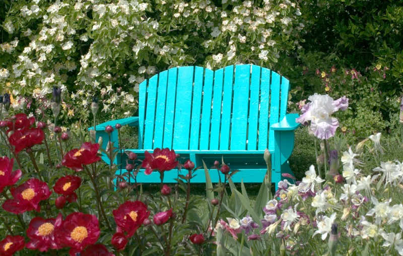 Blue Bench