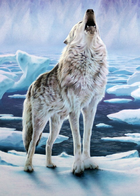 Arctic Wolves Variant 1