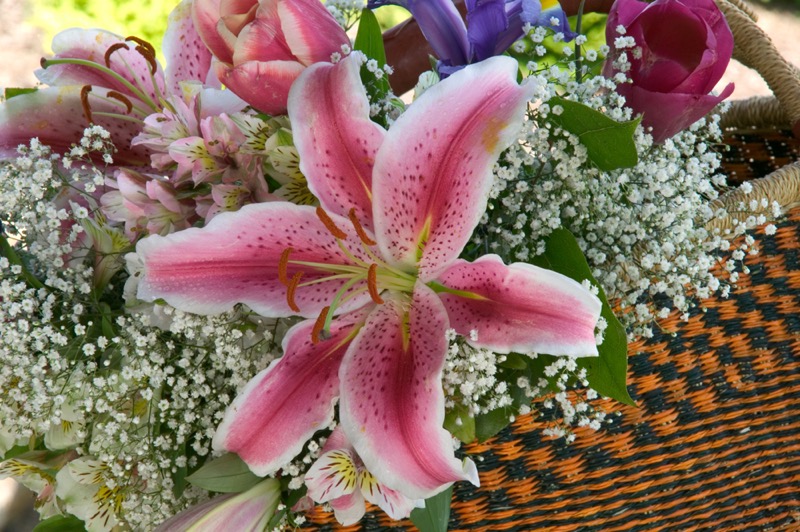 Flowers in African Basket