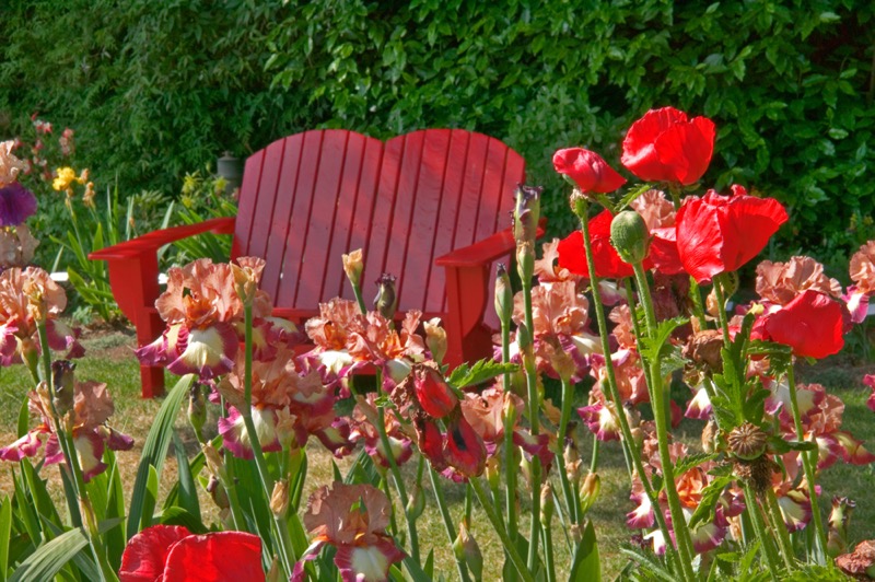 Flower Garden Red Bench