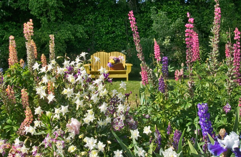 Flower Garden Yellow Bench