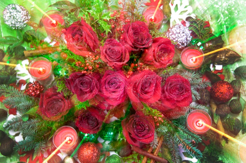 Christmas – Red Roses