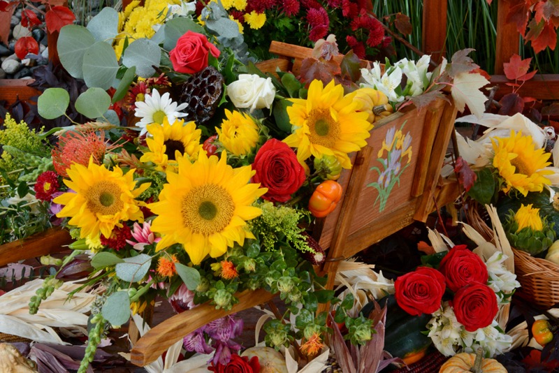 Harvest Time Flowers