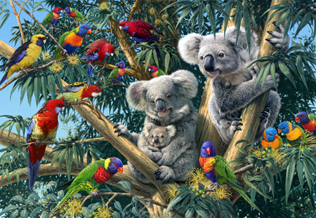 Koala Outback