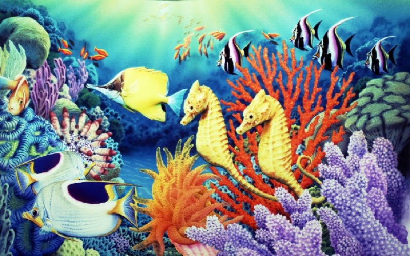 Sea Horses