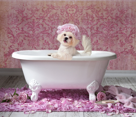 Pink Bath