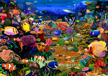 Coral Reef