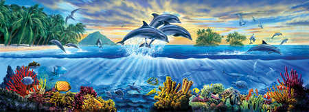 Dolphin Family Panorama