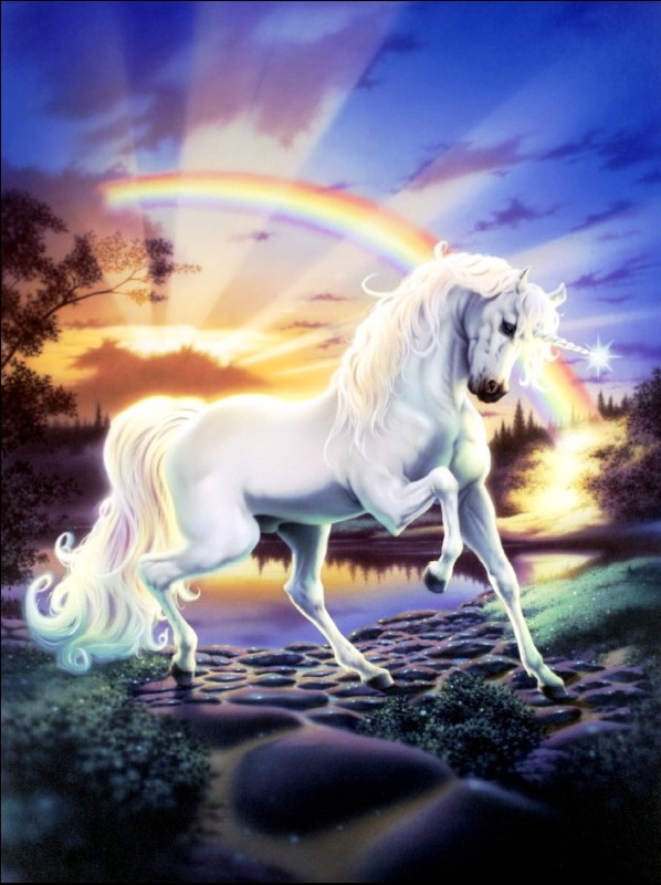 Rainbow Unicorn