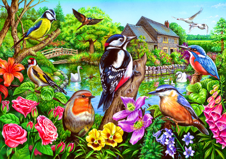 British Bird Garden