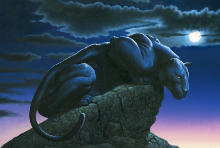 Panther on Rock